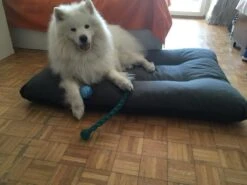 Hondenkussen XXXL -Donkergrijs - 85 X 120 X 14 -Hondenspullen Verkoop 1200x900 26