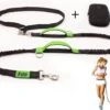Filo Elastische Hondenriem Middel - Hardlopen En Wandelen - Hardloopriem Hond Handsfree Met Heuptasje - Looplijn Met Heupriem - Canicross Gordel Honden - Riemen - Heupgordel - Leiband -Hondenspullen Verkoop 1200x908 2