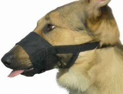 Beeztees Comfort Muilband - Hond - M - 15-20 Cm -Hondenspullen Verkoop 1200x918 3