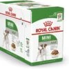 Royal Canin Shn Mini Adult Pouch - Hondenvoer - 12 X 85 G 2 Royal Canin Shn Mini Adult Pouch - Hondenvoer - 12 X 85 G -Hondenspullen Verkoop 1200x932 1