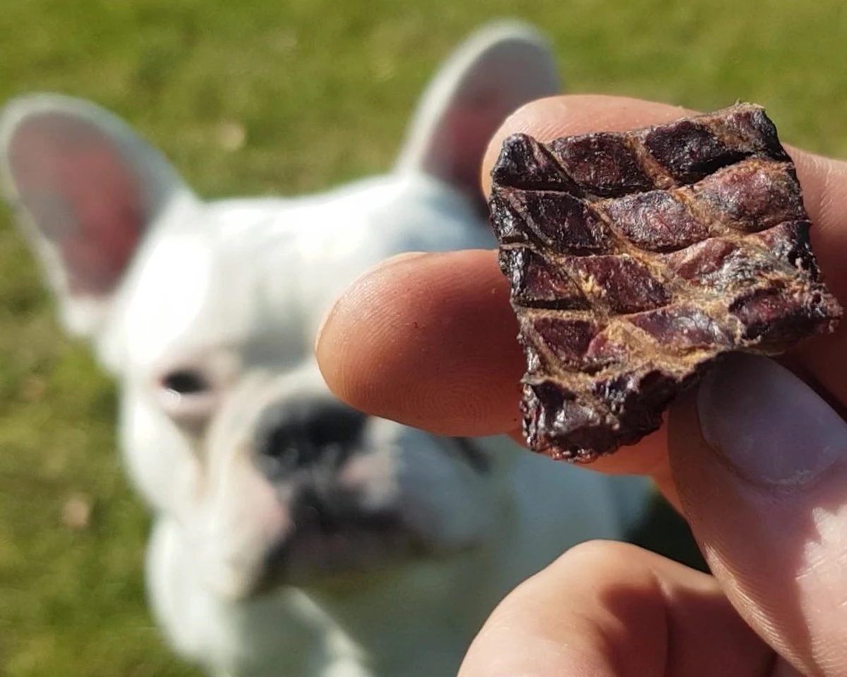 Topdiervoeding Runderlong Trainers Hondensnacks - Gedroogd En Vetarm - 1 KG 7 Topdiervoeding Runderlong Trainers Hondensnacks - Gedroogd En Vetarm - 1 KG - Afbeelding 5