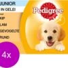 Pedigree Pouch Junior Multipack - Hondenvoer - 4 X 12x100 G -Hondenspullen Verkoop 1200x997