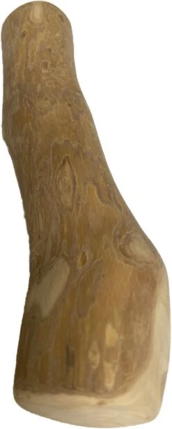 BoDutch - Koffieboom Kauwwortel - Maat L - Hondensnack 10 BoDutch - Koffieboom Kauwwortel - Maat L - Hondensnack -Hondenspullen Verkoop 483x1200