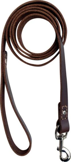 Hondenriem - 180 Cm – Bruine Riem - Leren Hondenriem Met Stiksels – 100% Volnerfleer - Hond -Hondenspullen Verkoop 532x1200 1