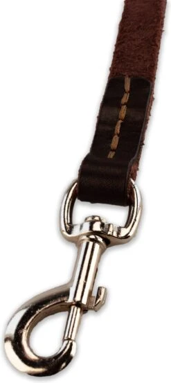 Multifunctionele Hondenriem - 220cm - Bruin - Leren Hondenriem - 100% Volnerfleer - Hondenriem Leer - Leiband Hond 14 Multifunctionele Hondenriem - 220cm - Bruin - Leren Hondenriem - 100% Volnerfleer - Hondenriem Leer - Leiband Hond -Hondenspullen Verkoop 536x1200 3