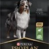 Pro Plan Medium Adult Sensitive Digestion - Honden Droogvoer - Lam - 14 Kg 1 Pro Plan Medium Adult Sensitive Digestion - Honden Droogvoer - Lam - 14 Kg -Hondenspullen Verkoop 544x1200
