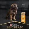 Pro Plan Healthy Start Puppy Large Robust - Honden Droogvoer - Kip - 12 Kg -Hondenspullen Verkoop 573x1200 4