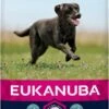 Eukanuba Dog Adult Large Breed - Kip - Hondenvoer - 15 Kg 2 Eukanuba Dog Adult Large Breed - Kip - Hondenvoer - 15 Kg -Hondenspullen Verkoop 577x1200 2