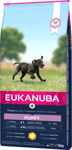Eukanuba Dog Puppy & Junior - Grote Rassen - Kip - Droogvoer - 12 Kg -Hondenspullen Verkoop 581x1200