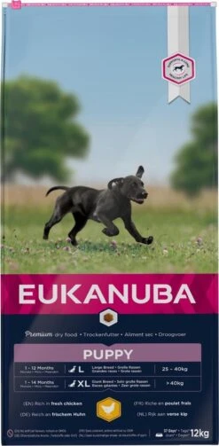 Eukanuba Dog Puppy & Junior - Grote Rassen - Kip - Droogvoer - 12 Kg -Hondenspullen Verkoop 589x1200 1