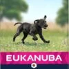 Eukanuba Dog Puppy Large Breed - Kip - Puppyvoer - 15 Kg -Hondenspullen Verkoop 597x1200 3