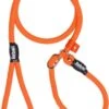 Rebel Petz - Honden Trainingslijn Met Halsband - Taupe, Zwart, Groen & Oranje - Maat Small Of Large - Kleur: Oranje, Maat: Large 1 Rebel Petz - Honden Trainingslijn Met Halsband - Taupe, Zwart, Groen & Oranje - Maat Small Of Large - Kleur: Oranje, Maat: Large -Hondenspullen Verkoop 706x1200 3