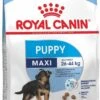Royal Canin Maxi Puppy 4 KG -Hondenspullen Verkoop 713x1200