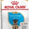 Royal Canin German Shepherd Puppy - Hondenvoer - 12 Kg -Hondenspullen Verkoop 717x1200 1