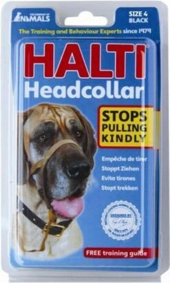 Halti Headcollar - Maat 2 -Hondenspullen Verkoop 721x1200 4