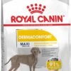 Royal Canin Dermacomfort Maxi - Hondenvoer - 12 Kg -Hondenspullen Verkoop 726x1200 1