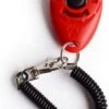 Merkloos Petshop ACE – Clicker – Hond – Training – Honden Training – Met Bevestiging - Rood 1 Merkloos Petshop ACE – Clicker – Hond – Training – Honden Training – Met Bevestiging - Rood -Hondenspullen Verkoop 779x1200 2
