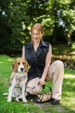 Hondenriem - Leiband Hond - Rollijn - 5 Meter - Beige - Riem Met Oprolsysteem - Hondenriem Flexi - Hondenlijn - Uitlaatriem -Hondenspullen Verkoop 800x1200 16