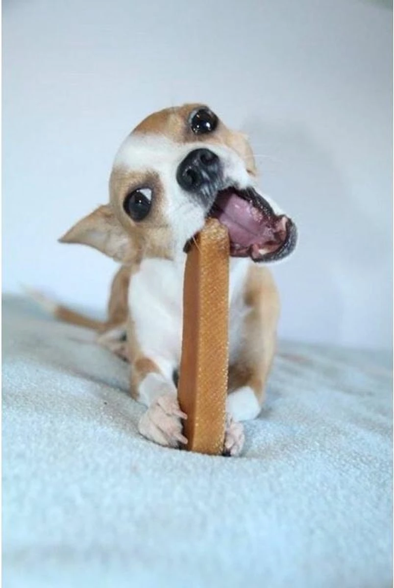 Coucour - Himalayan Cheese Bone 123gr XL - Yakmelk Kauwbot - Yakkaas Yak - Hondensnacks - Snack 4 Coucour - Himalayan Cheese Bone 123gr XL - Yakmelk Kauwbot - Yakkaas Yak - Hondensnacks - Snack - Afbeelding 2