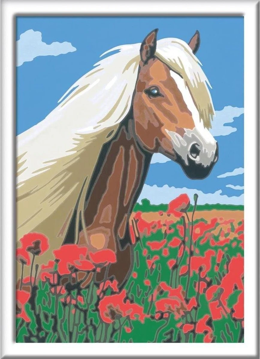 Ravensburger Schilder Op Nummer 3in1 Set Dieren 5 Ravensburger Schilder Op Nummer 3in1 Set Dieren - Afbeelding 3