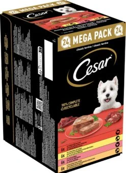 Cesar Classic Mix Paté Hondenvoer Maaltijdkuipjes 24 X 150 G 6 Cesar Classic Mix Paté Hondenvoer Maaltijdkuipjes 24 X 150 G -Hondenspullen Verkoop 871x1200