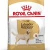 Royal Canin Labrador Retriever Adult 12 KG 1 Royal Canin Labrador Retriever Adult 12 KG -Hondenspullen Verkoop 880x1200