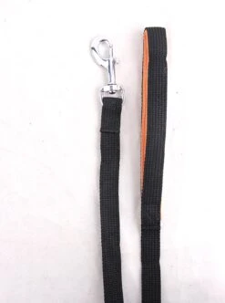 Pawise Lange Trainingslijn – Hondenriem Tot 5m – Brede Band Met Grip – Ideaal Voor Hondentraining – Uitlaatriem Van Hoge Kwaliteit Katoen -Hondenspullen Verkoop 893x1200 2