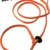 Abany Quality Design 1.80 Mtr Oranje - Jachtlijn - Dubbele Stop - Retrieverlijn - Gentle Leader - Lijn Leiband Met Halsband - Sliplijn Met Stop – Half Slip - Puppylijn - Vanglijn - Mantrailing - - 1R19019 -Hondenspullen Verkoop 895x1200 15
