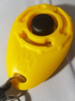 Clicker Geel Voor Hondentraining Paarden Training Voor Positieve Bekrachtiging -Hondenspullen Verkoop 899x1200 10