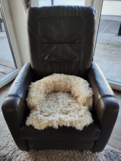 Kussen Voor Kat Of Kleine Hond | Fluffy Dierenkussen Van Pluche | Kat | Bank | Mand | Kattenmand | Kattendeken & Bankbeschermer Max. 15 Kg | Beige | Maat XS 11 Kussen Voor Kat Of Kleine Hond | Fluffy Dierenkussen Van Pluche | Kat | Bank | Mand | Kattenmand | Kattendeken & Bankbeschermer Max. 15 Kg | Beige | Maat XS -Hondenspullen Verkoop 900x1200 28