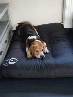 Hondenkussen XXXL -Donkergrijs - 85 X 120 X 14 -Hondenspullen Verkoop 900x1200 29