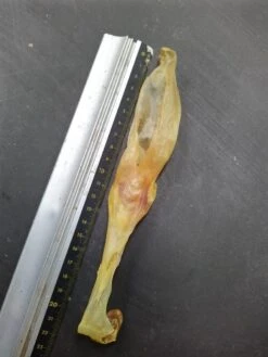 Konijn Oor Konijnoren 1kg Van De Snackmeester 100% Natuurlijk Natural Naturel -Hondenspullen Verkoop 900x1200 5