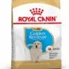 Royal Canin Golden Retriever Junior 12 KG -Hondenspullen Verkoop 901x1200 2