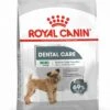 Royal Canin Ccn Dental Care Mini - Hondenvoer - 3 Kg 2 Royal Canin Ccn Dental Care Mini - Hondenvoer - 3 Kg -Hondenspullen Verkoop 928x1200 1