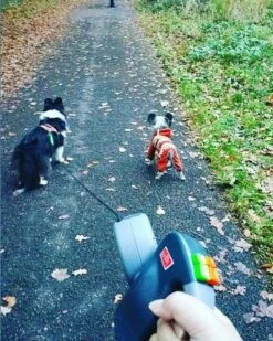 Wigzi Dual Doggie 2.0 Voor Twee Honden - Hondenriem - Grijs - 3m - <22 Kg (per Hond) 17 Wigzi Dual Doggie 2.0 Voor Twee Honden - Hondenriem - Grijs - 3m - <22 Kg (per Hond) -Hondenspullen Verkoop 960x1200 1