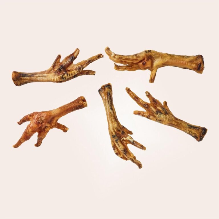 Hondenspullen Verkoop -Hondenspullen Verkoop 1200x1200 184 768x768 1